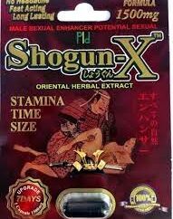 Shogun X