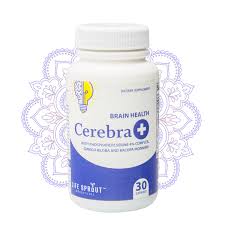 Boston Brain Science Cerebra Review