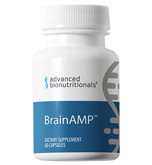 BrainAMP Review 