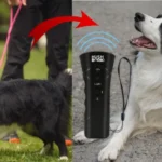 Hush Bark Collar Review